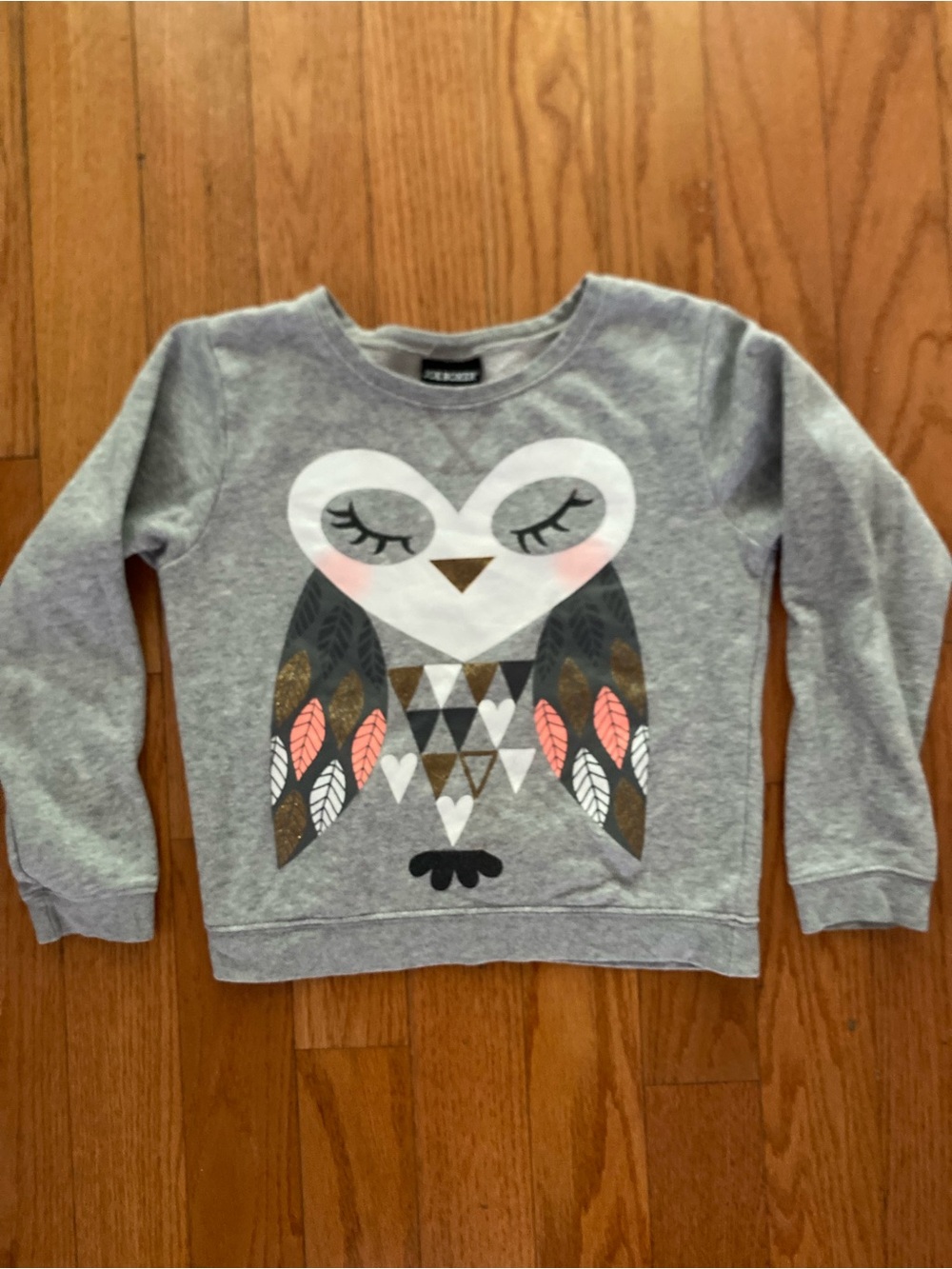 Joe Boxer Gray Owl Graphic Sweatshirt with Pink & Gold Accents
